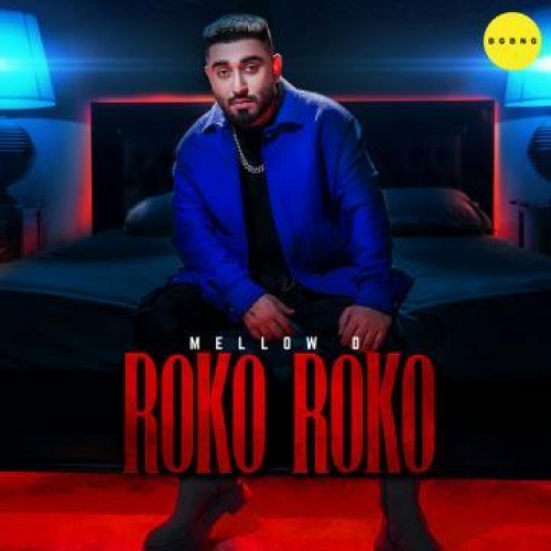 ROKO ROKO SONG LYRICS - BGBNG Music