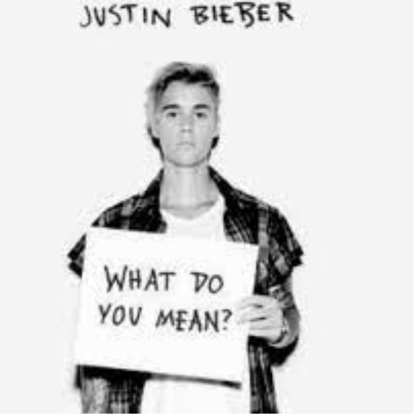 What Do You Mean Song Lyrics