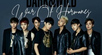 War Of Hormone Song Lyrics – BTS