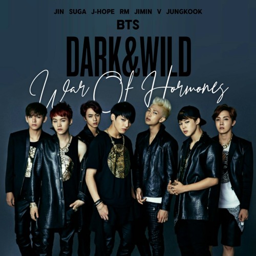 War Of Hormone Song Lyrics - BTS